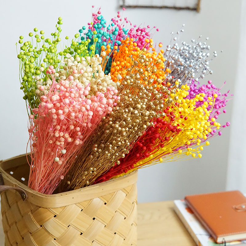 Dried Flower Bulk - 35 جرام/الأورموسيا المحفوظة Hosiei الزهور الحقيقية