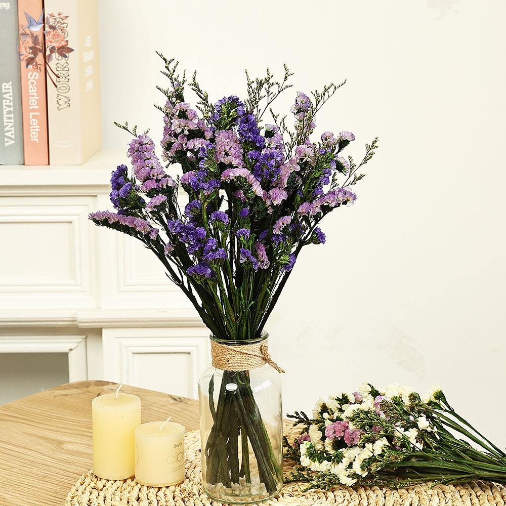 Dried Flower Bulk - 100 جرام طبيعي حقيقي ننسى لي