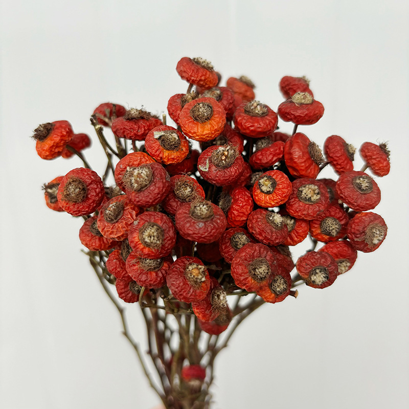 10 قطع/حزمة من ثمار الورد المج - مراجعة Dried Flower Bulk وسعره