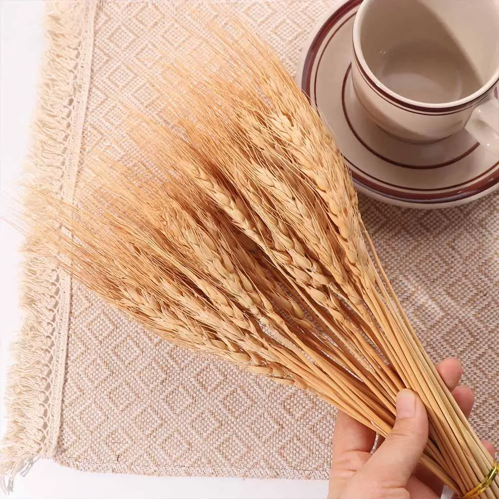 50 قطعة من زهور اصطناعية، سيقا - مراجعة Dried Flower Bulk وسعره