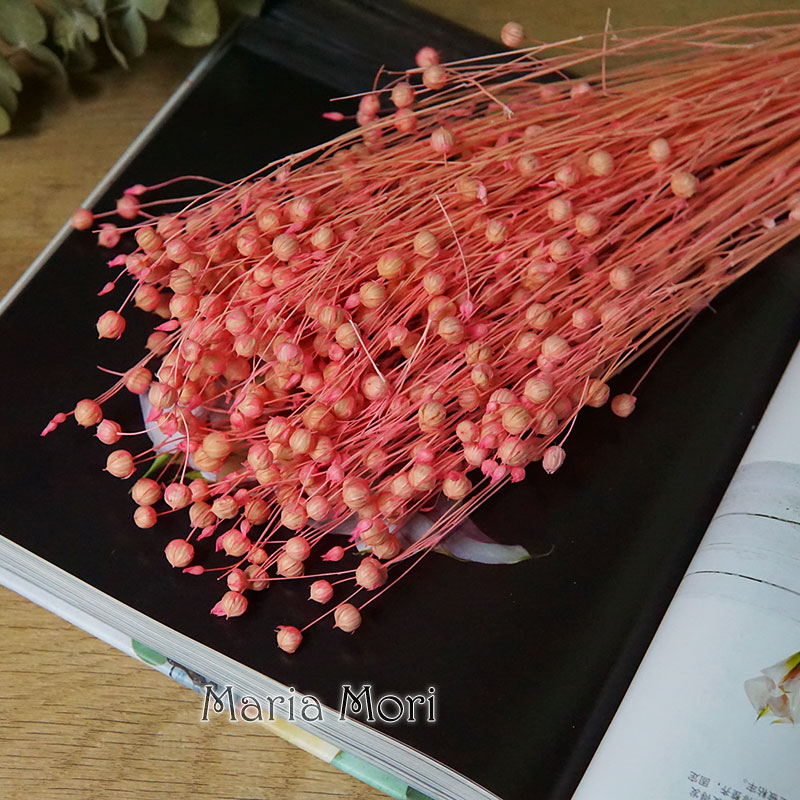35 جرام/الأورموسيا المحفوظة Ho - مراجعة Dried Flower Bulk وسعره