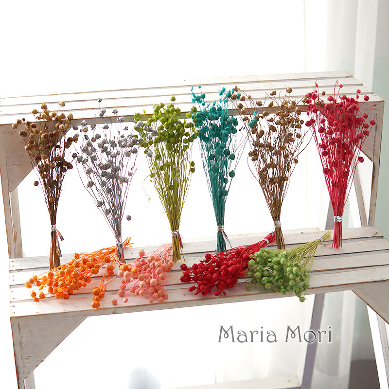 5 جرام حبوب الكتان المحفوظة ال - مراجعة Dried Flower Bulk وسعره