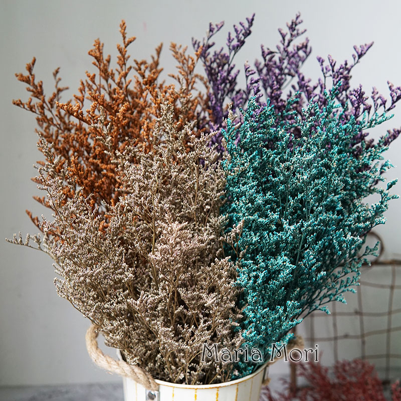 50 جرام/عشبة الحب المحفوظة (لي - مراجعة Dried Flower Bulk وسعره