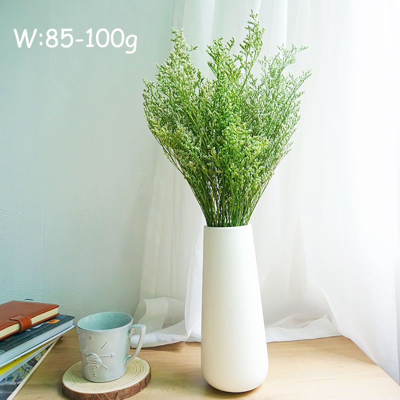 50 جرام/عشبة الحب المحفوظة (لي - مراجعة Dried Flower Bulk وسعره